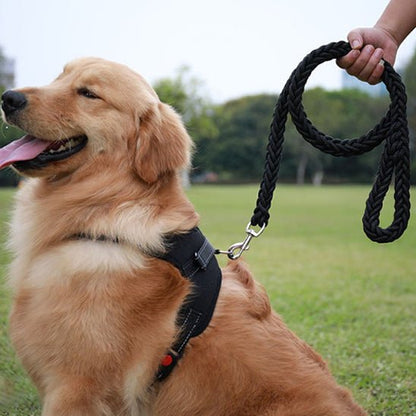 laisse pour chien canirobuste noire golden souriant