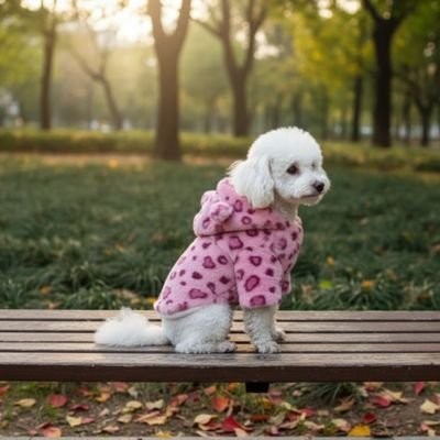 manteau chien mini leopet rose bichon assis sur table pique nique