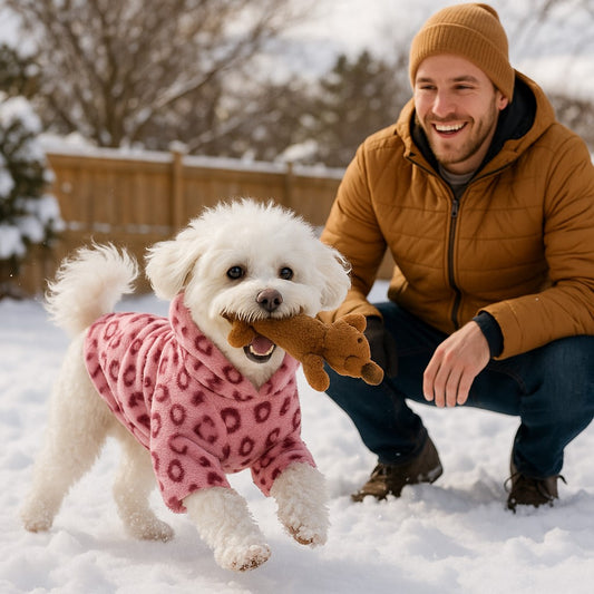 manteau chien mini leopet rose bichon croise joue peluche ecureuil et maitre hiver