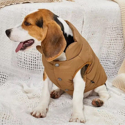 manteau chien pawfect look marron beagle assis de profil