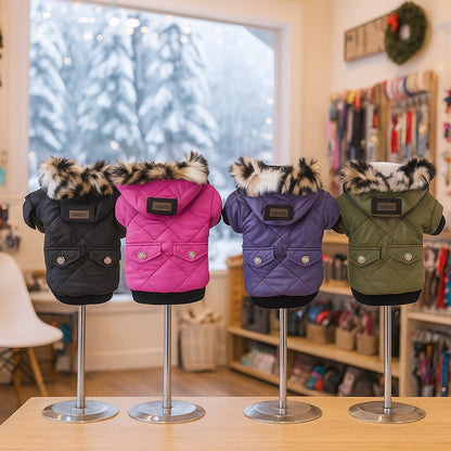 manteau pour chien diamondcoat presentation quatre variantes magasin