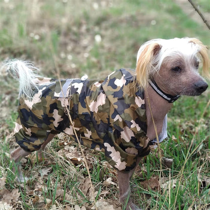 Manteau pour Chien - DogWaterproofCoat™ - Camouflage - Tout pour Papattes