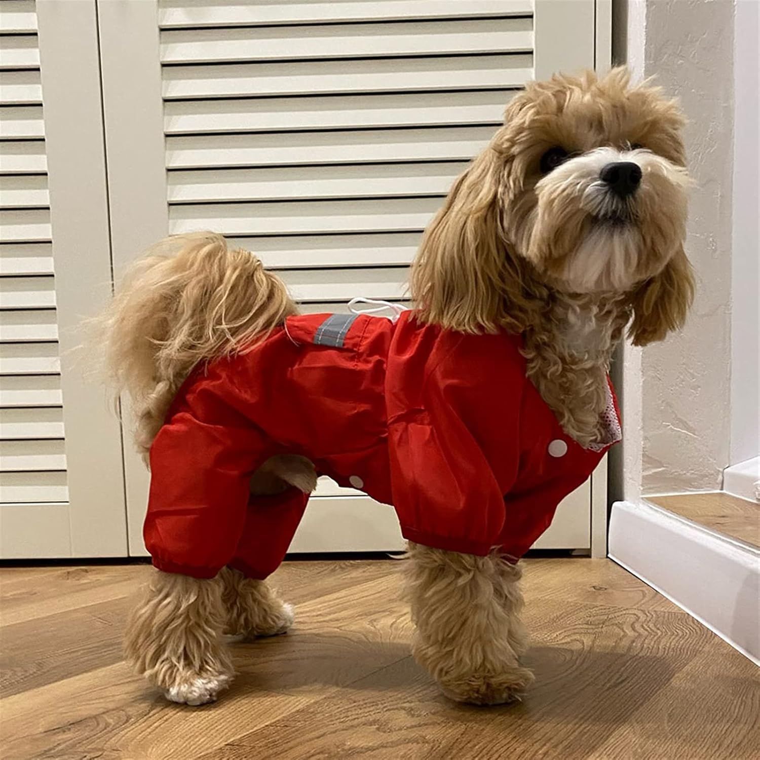 Manteau pour Chien - DogWaterproofCoat™ - Rouge - Tout pour Papattes