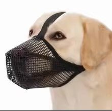museliere chien airmuzz noire labrador presentation variante