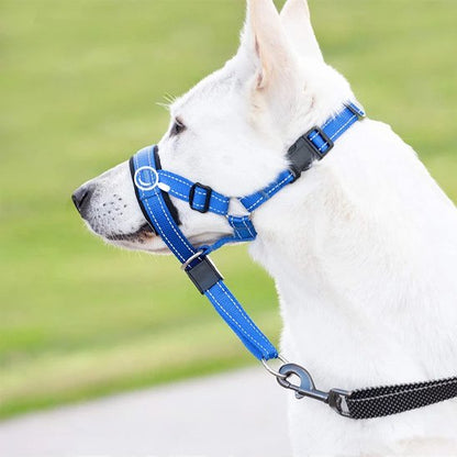 museliere chien fleximuse bleu berger blanc suisse vue profil droit parc