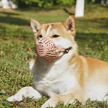 museliere pour chien baskair rose shiba inu couche dans herbe