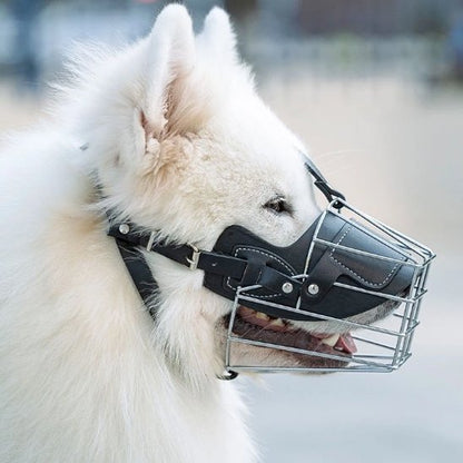 museliere pour chien zenoxis noir samoyede blanc vue de profil