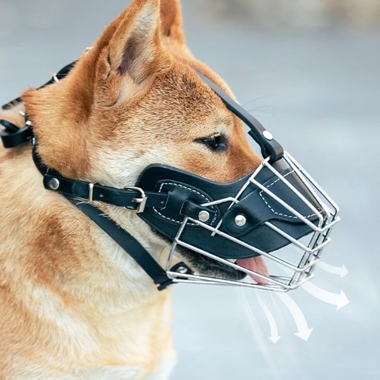 museliere pour chien zenoxis noir shiba inu caracteristique respirante