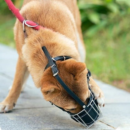 museliere pour chien zenoxis noir shiba inu tente enlever museliere
