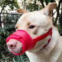 museliere trustifit variante rouge