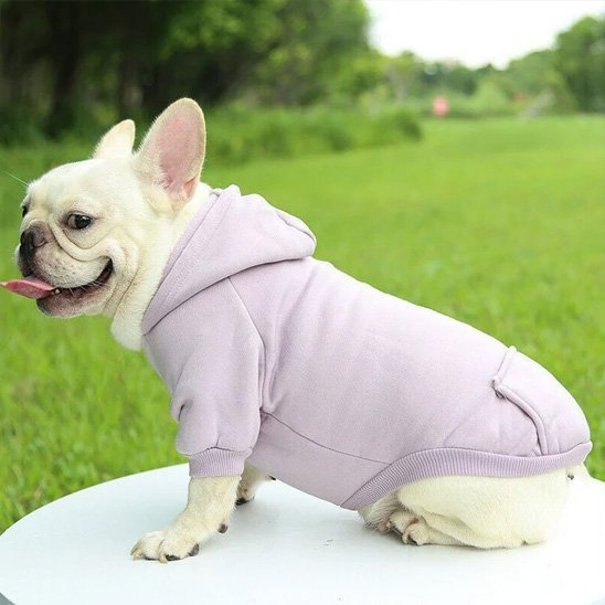 pull pour chien woof hoodie lilas bouledogue assis profil gauche